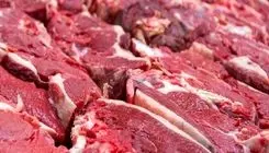 شهریورماه؛ اعلام پایان فرایند ثبت سفارش واردات گوشت 