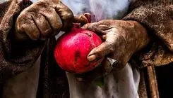 یلدا با طعم تورم