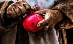 یلدا با طعم تورم