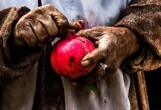 یلدا با طعم تورم