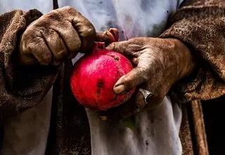 یلدا با طعم تورم