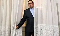  کیک شاهانه جشن عروسی دختر علی شمخانی ...+ عکس