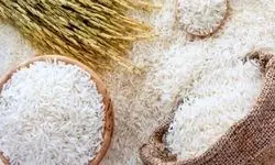 یک میلیون و ۲۵۰  هزارتن برنج باید از خارج وارد کنیم