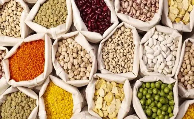 آغاز ثبت سفارش بخشی از حبوبات