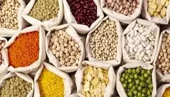 آغاز ثبت سفارش بخشی از حبوبات