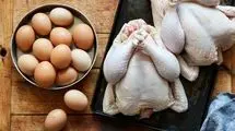 قیمت مرغ و تخم‌مرغ سر به فلک کشید؛ علت اصلی کمبود نهاده‌های دامی چیست؟