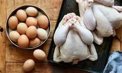 قیمت مرغ و تخم‌مرغ سر به فلک کشید؛ علت اصلی کمبود نهاده‌های دامی چیست؟