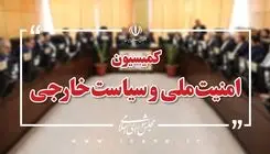 حضور استاندار هرمزگان در جلسه کمیسیون امنیت ملی و سیاست خارجه مجلس شورای اسلامی