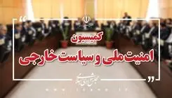 حضور استاندار هرمزگان در جلسه کمیسیون امنیت ملی و سیاست خارجه مجلس شورای اسلامی