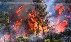 آخرین وضعیت جنگل الیت/ آتش در کنترل است اما کامل اطفا نشده