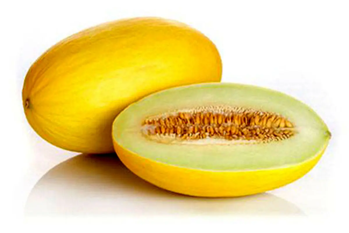 خوردن خربزه با عسل باعث مرگ آنی میشود ؟