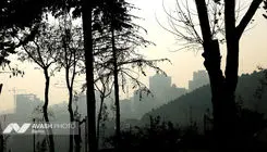 تداوم آلودگی هوا در تهران/ منجیل در صدر شهرهای ناسالم