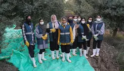 زمین، زن، زخم