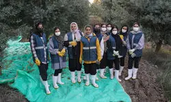 زمین، زن، زخم