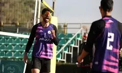 پیکان بندر دیر بر تارک والیبال ساحلی ایران