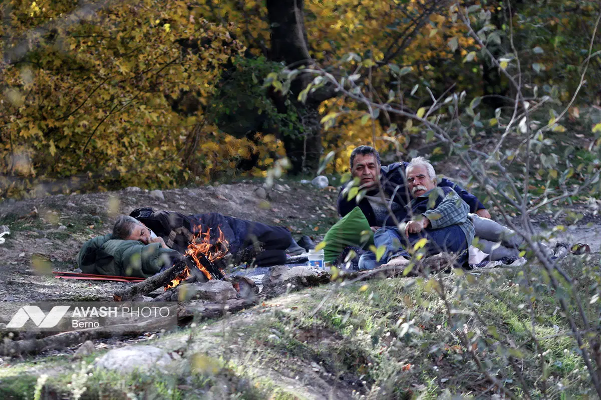 سرشماری پاییزه پارک ملی گلستان