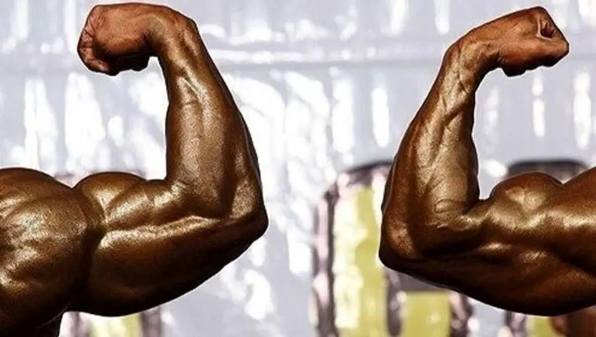 انتخابات فدراسیون بدنسازی و پرورش اندام باطل شد