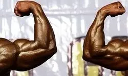 انتخابات فدراسیون بدنسازی و پرورش اندام باطل شد