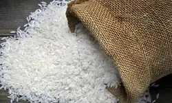 خبر رسمی درباره برنج اعلام شد