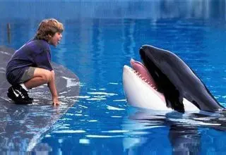 «برادران داسلر» و «نهنگ آزاد» روی آنتن می‌روند