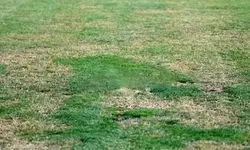 بازی روی مین؛ استقلال و پادیاب قربانی چمن‌ بی‌کیفیت تختی