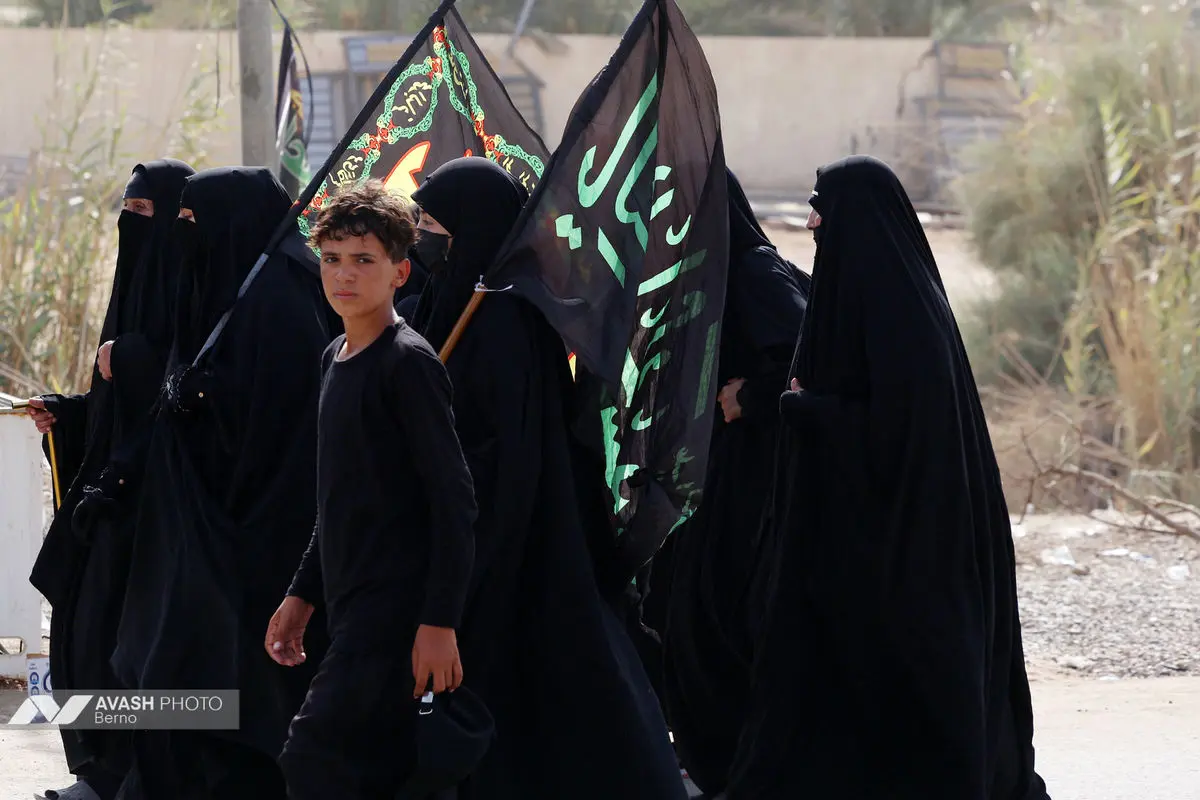 زائران اربعین در مسیر نجف به کربلا