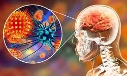 این ویروس باعث کند ذهنی می‌شود