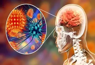 این ویروس باعث کند ذهنی می‌شود