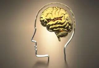 کمبود این ویتامین‌ها باعث کاهش حافظه می‌شود