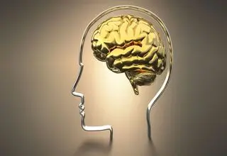 کمبود این ویتامین‌ها باعث کاهش حافظه می‌شود