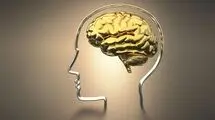 کمبود این ویتامین‌ها باعث کاهش حافظه می‌شود