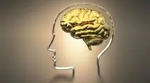 کمبود این ویتامین‌ها باعث کاهش حافظه می‌شود