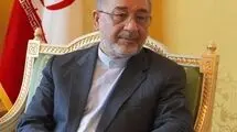 سفیر ایران در رم: اگر  کشوری خواستار ایفای نقش در مسیر مذاکرات است، رویکرد عادلانه داشته باشد
