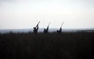 مساله شکار در ایران از سیاست‌گذاری تا بحران امنیتی