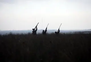 مساله شکار در ایران از سیاست‌گذاری تا بحران امنیتی