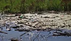 تالاب‌های ایران نایی برای زنده ماندن ندارند