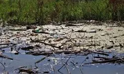 تالاب‌های ایران نایی برای زنده ماندن ندارند