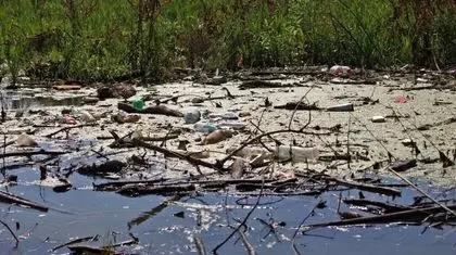 تالاب‌های ایران نایی برای زنده ماندن ندارند