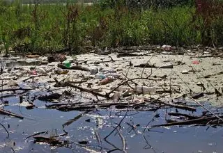 تالاب‌های ایران نایی برای زنده ماندن ندارند