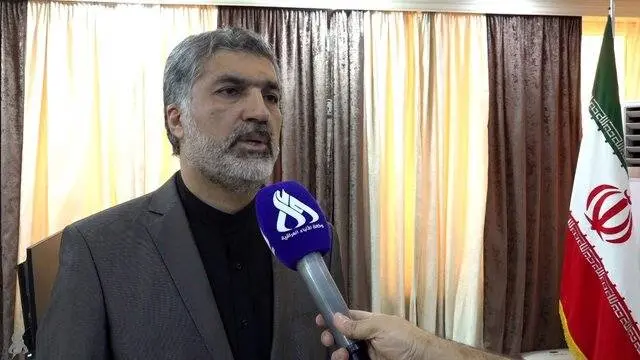 ۵۰۷ موکب ایرانی در نجف اشرف فعالیت میکنند