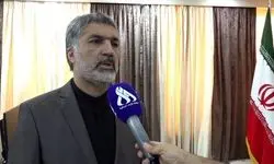 سرکنسول ایران: ۵۰۷ موکب ایرانی در نجف اشرف فعالیت می‌کنند
