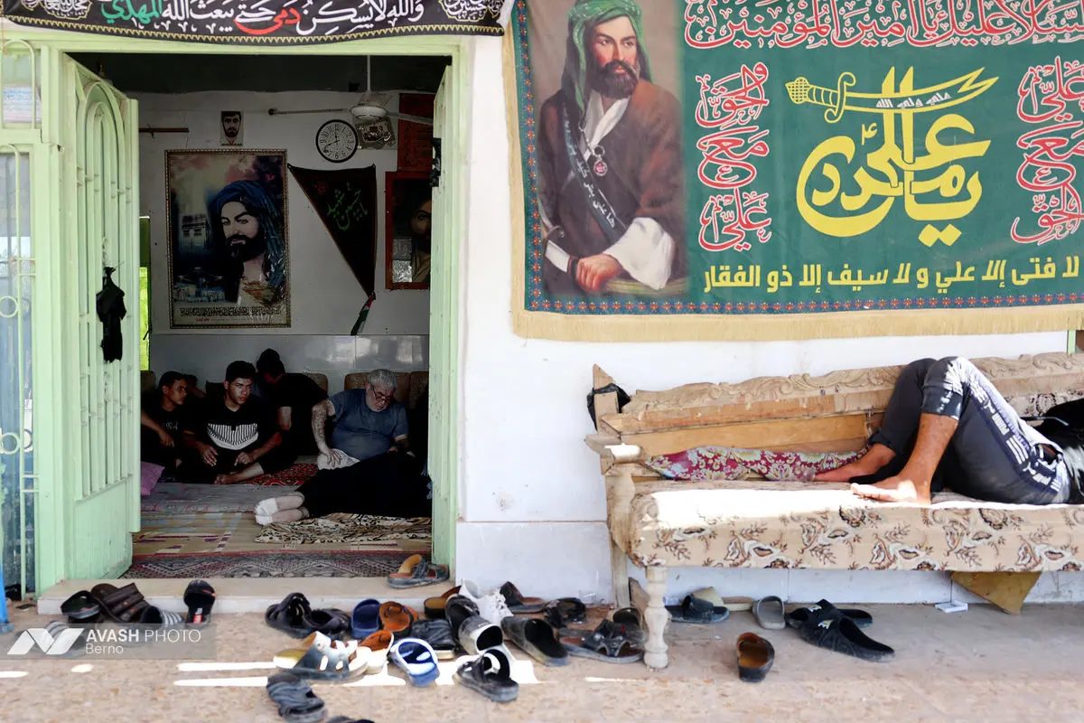 زائران اربعین در مسیر نجف به کربلا