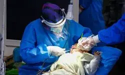 خدمات رایگان دندان‌پزشکی به دانش‌آموزان زیر ۱۴ سال