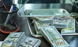 تامین ۴۳ میلیارد و ۴۰۱ میلیون دلار برای نیاز‌های مختلف وارداتی کشور