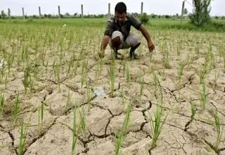 تسویه بدهی‌های صندوق بیمه کشاورزی  تا پایان سال ۱۴۰۳ ؛ پرداخت غرامت به کشاورزان زیان‌دیده