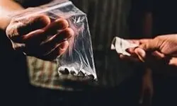 جاسازی عجیب مواد مخدر در یک خودرو/ ببینید