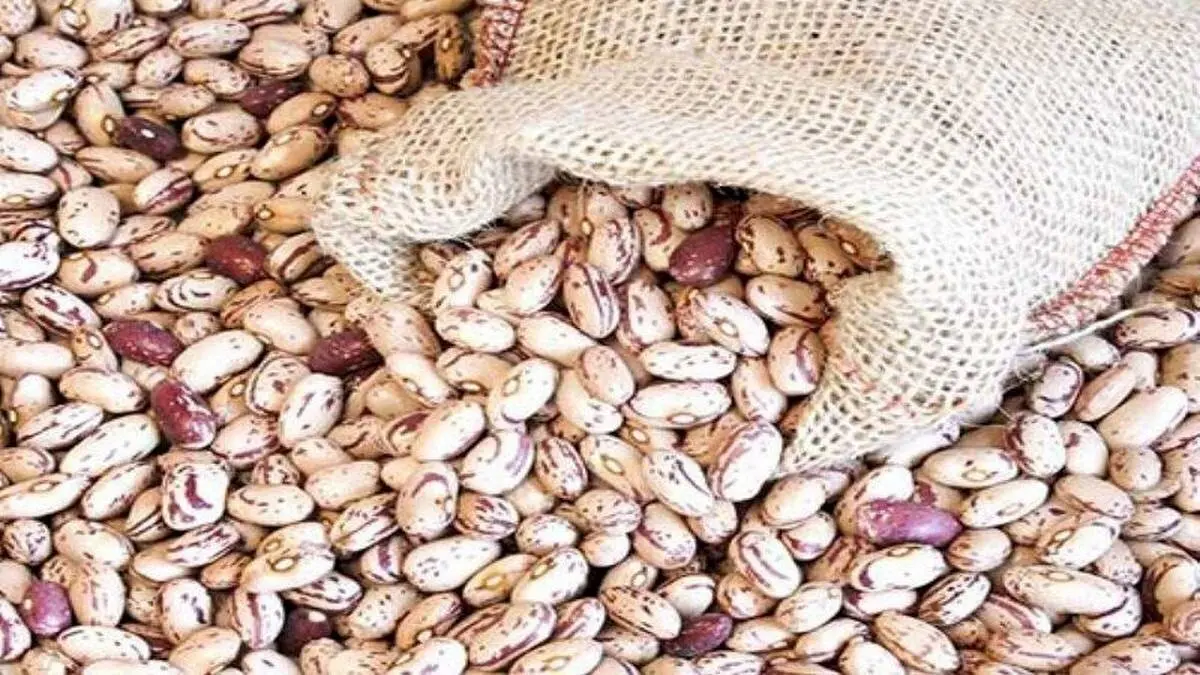 کاهش ۳۳ درصدی قیمت لوبیا چیتی در بازار؛ هرکیلو ۳۲۰ هزارتومان
