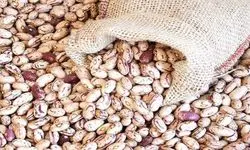 کاهش ۳۳ درصدی قیمت لوبیا چیتی در بازار؛ هرکیلو ۳۲۰ هزارتومان