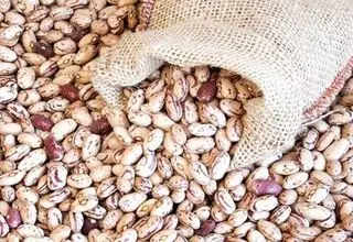 کاهش ۳۳ درصدی قیمت لوبیا چیتی در بازار؛ هرکیلو ۳۲۰ هزارتومان