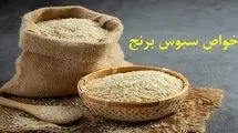 خواص سبوس برنج که از آن بی خبرید